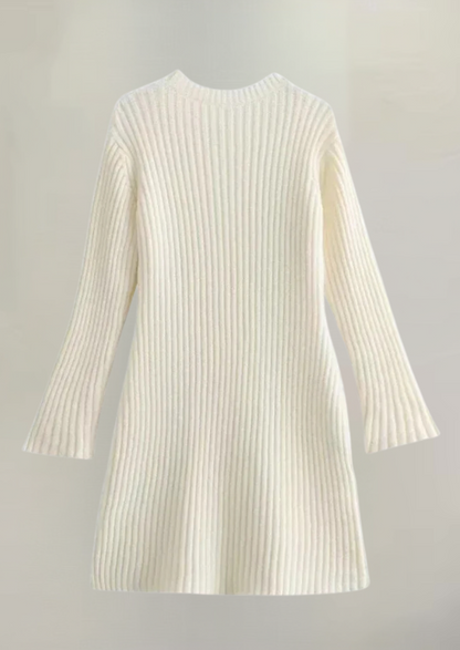 Back view flat lay of an ivory knit long sleeve ribbed mini dress, showing the full length and ribbed details from behind.